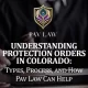 What is a Protection Order?